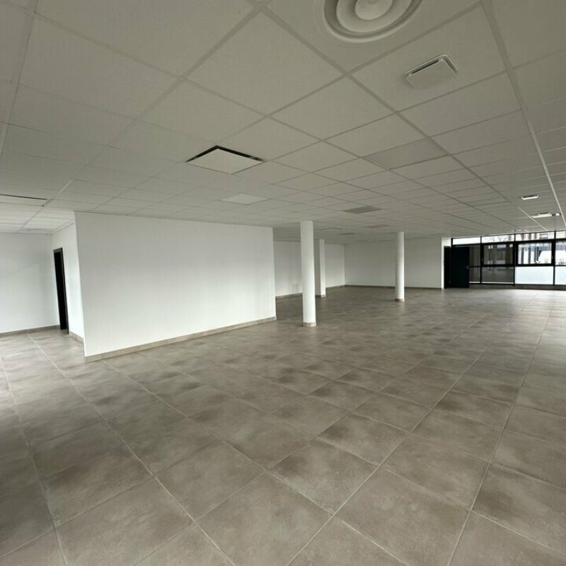 Location - 74 m² - STRASBOURG - 2