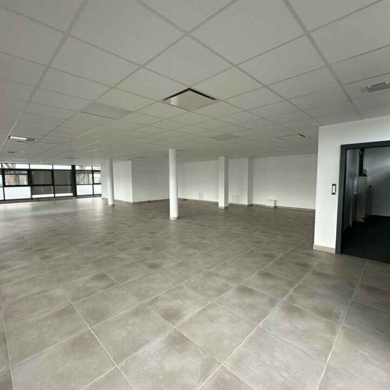 Location - 74 m² - STRASBOURG - 3
