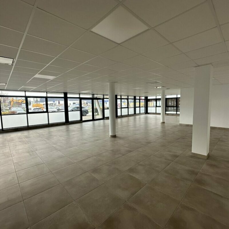 Location - 74 m² - STRASBOURG - 4