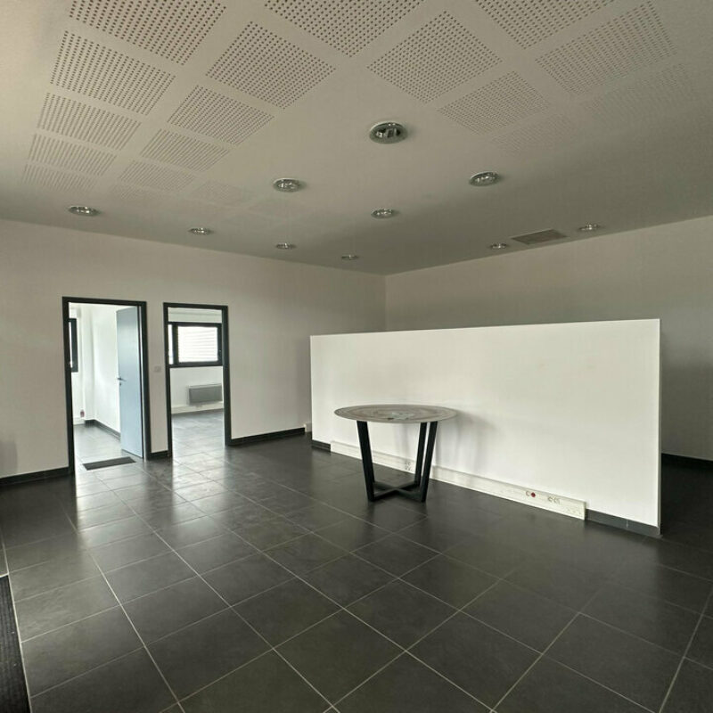 Location - 200 m² - MOLSHEIM - 2