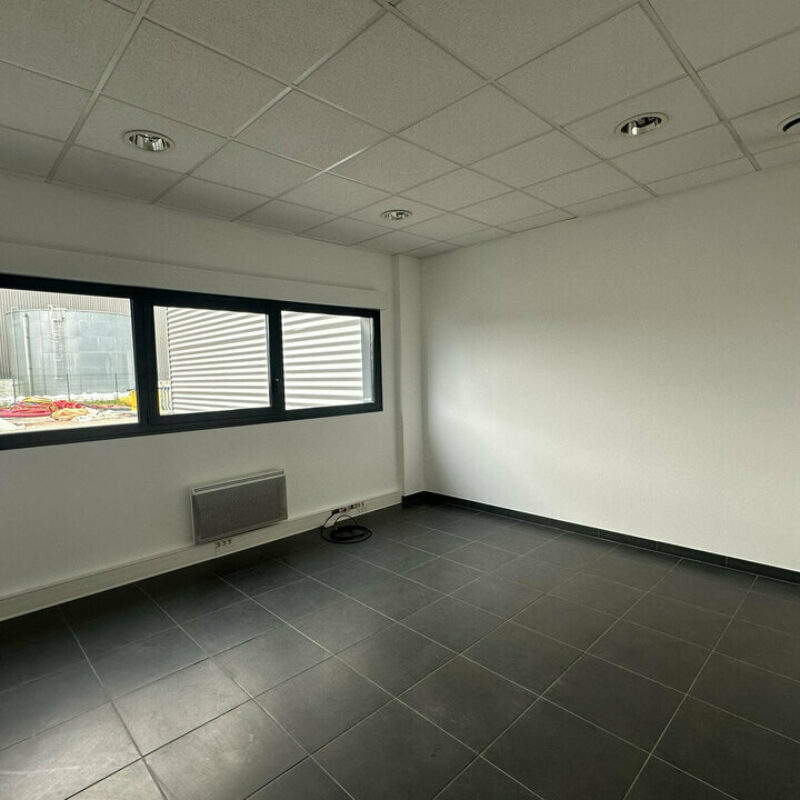 Location - 200 m² - MOLSHEIM - 5