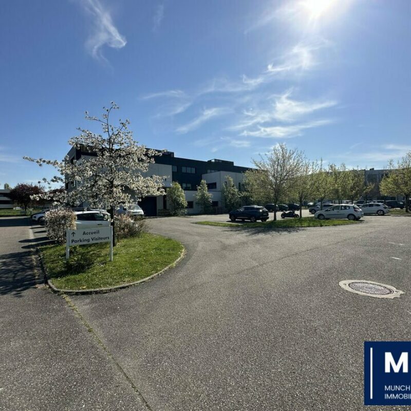 Location - 725.81 m² - ENTZHEIM - 1