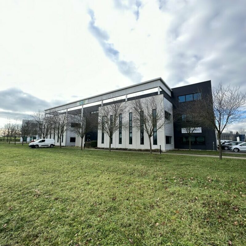 Location - 725.81 m² - ENTZHEIM - 2