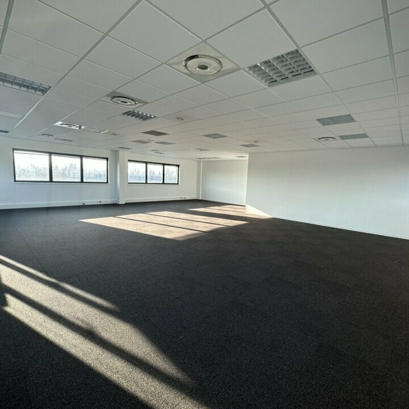 Location - 725.81 m² - ENTZHEIM - 5