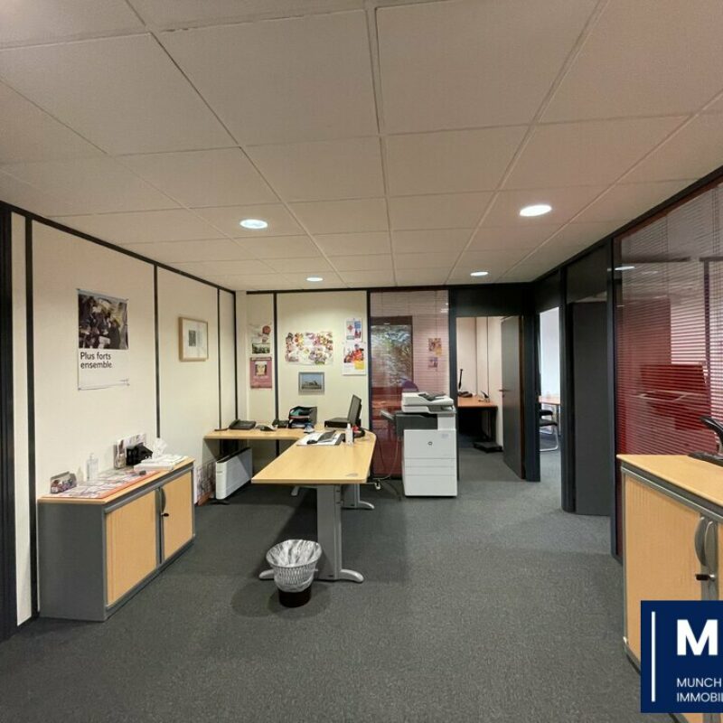 Location - 252 m² - OBERHAUSBERGEN - 5