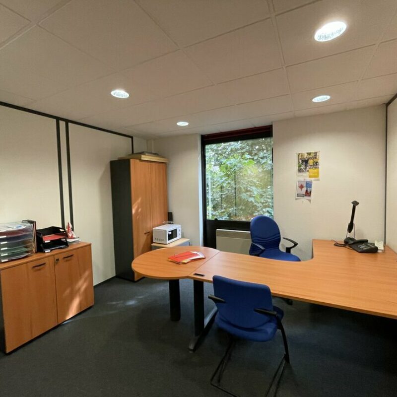 Location - 252 m² - OBERHAUSBERGEN - 4