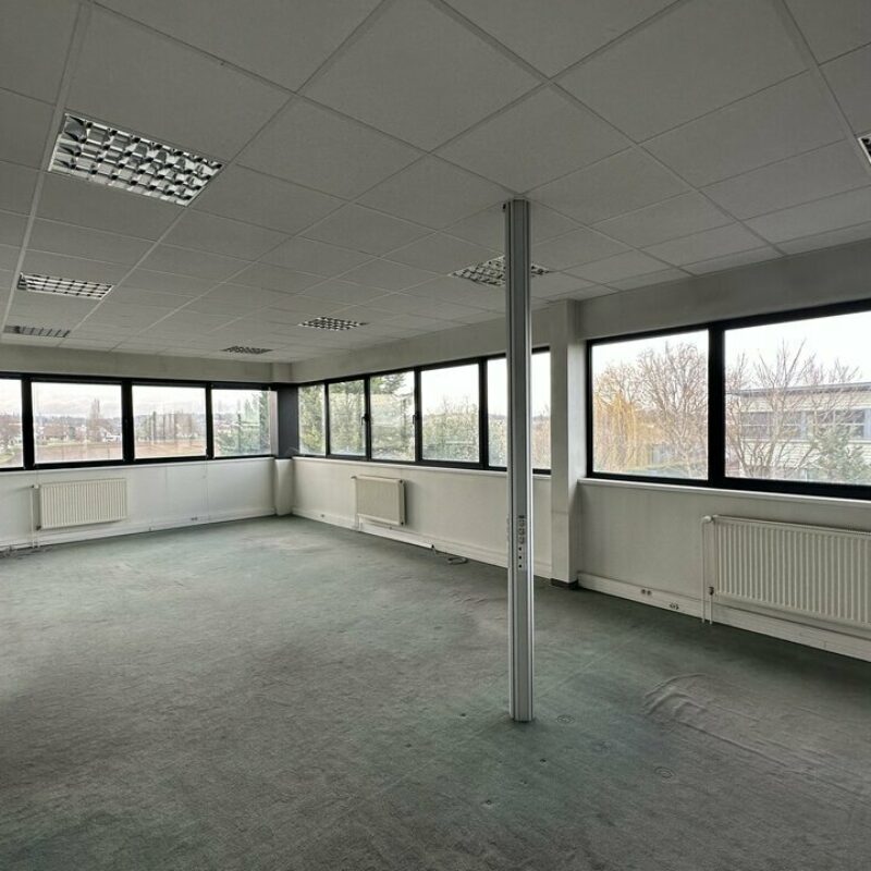 Location - 832.78 m² - NIEDERHAUSBERGEN - 3