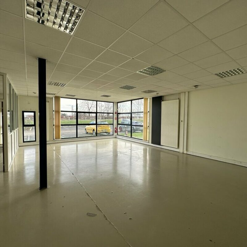 Location - 832.78 m² - NIEDERHAUSBERGEN - 5