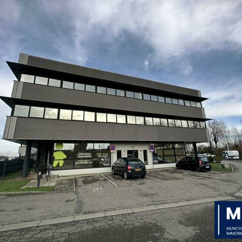 Location - 832.78 m² - NIEDERHAUSBERGEN - 1