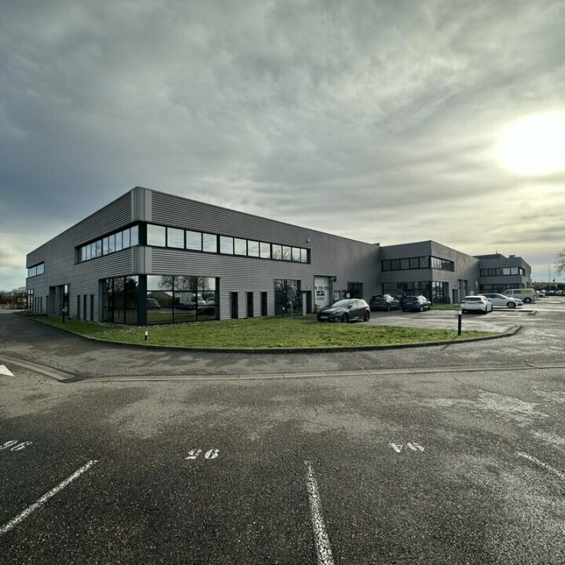 Location - 393.5 m² - NIEDERHAUSBERGEN - 2