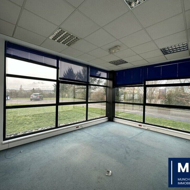 Location - 393.5 m² - NIEDERHAUSBERGEN - 1