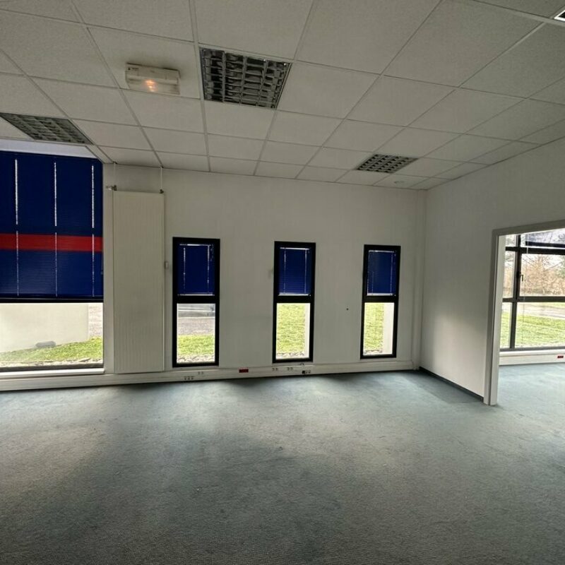 Location - 393.5 m² - NIEDERHAUSBERGEN - 3