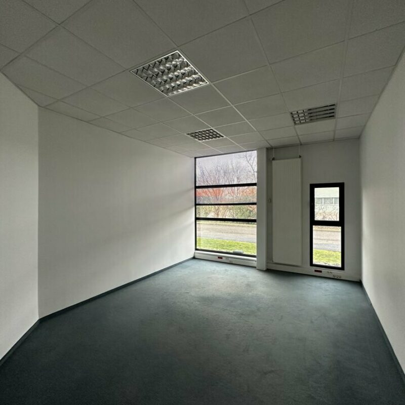 Location - 393.5 m² - NIEDERHAUSBERGEN - 4