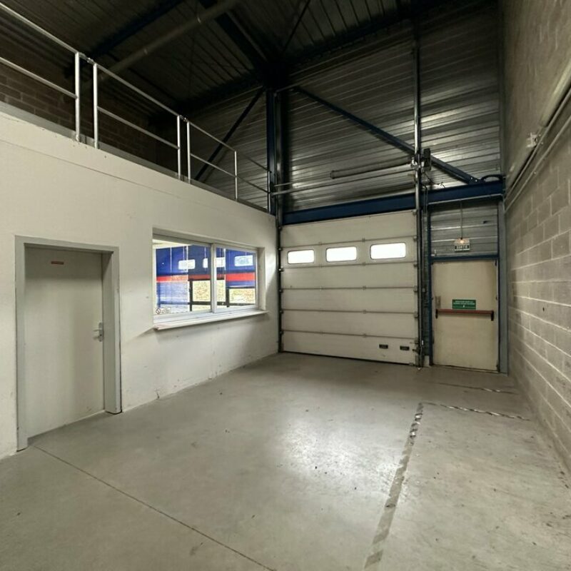 Location - 393.5 m² - NIEDERHAUSBERGEN - 5