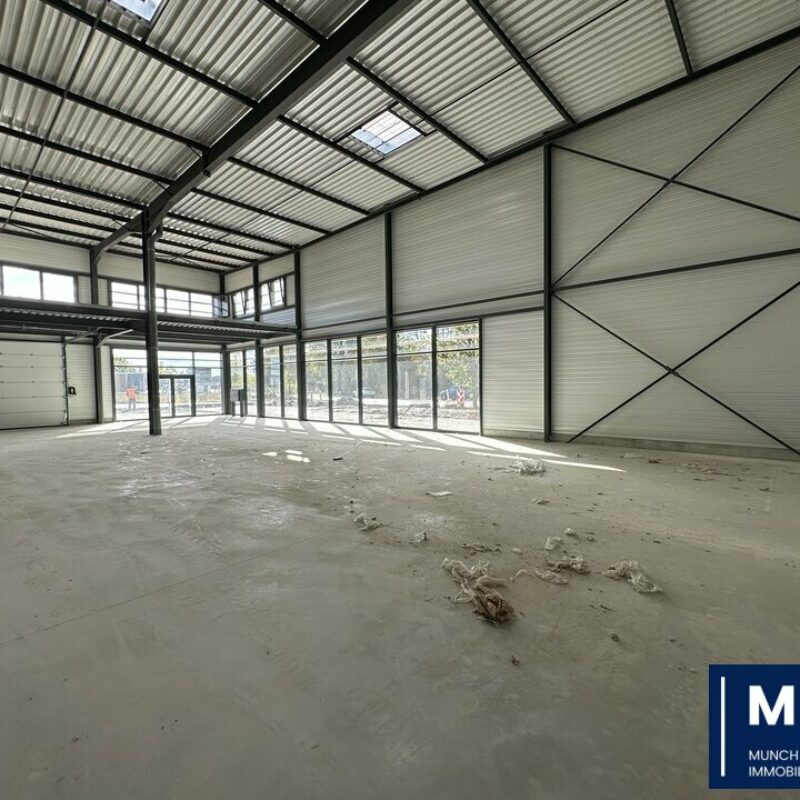 Vente - 748 m² - GEISPOLSHEIM - 1