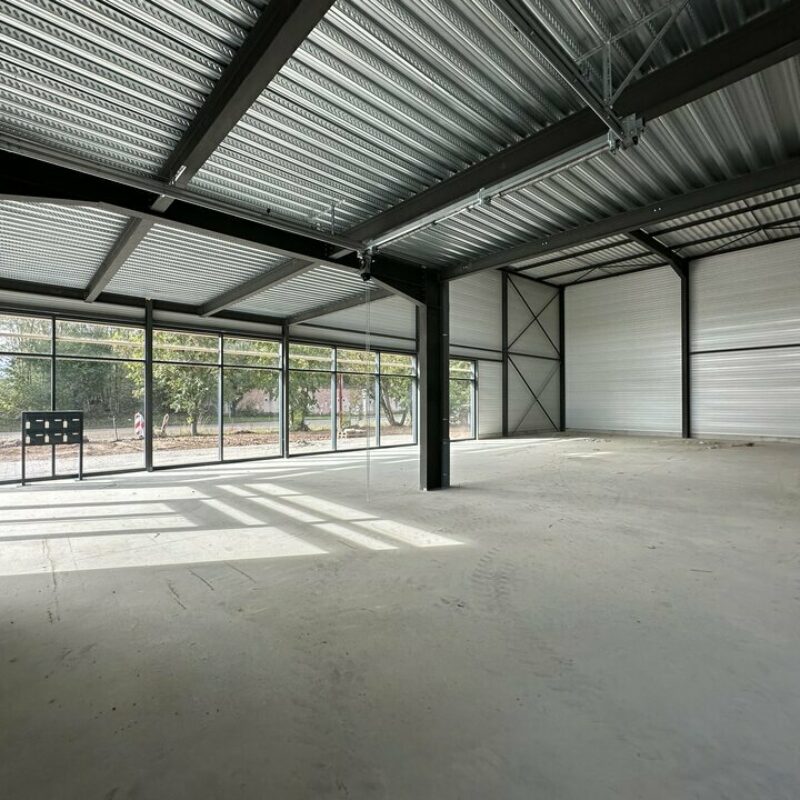 Vente - 748 m² - GEISPOLSHEIM - 2