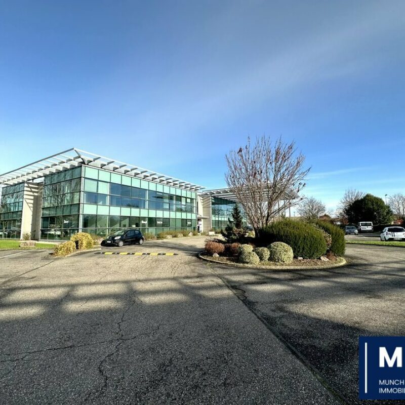 Location - 435 m² - SCHILTIGHEIM - 5