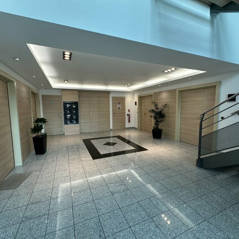 Location - 435 m² - SCHILTIGHEIM - 3