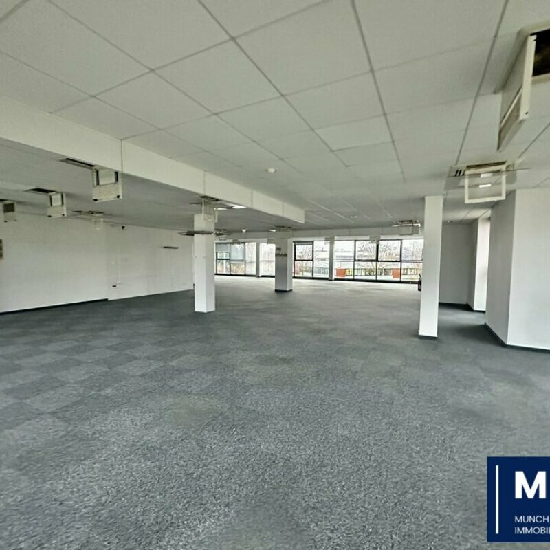 Location - 435 m² - SCHILTIGHEIM - 1