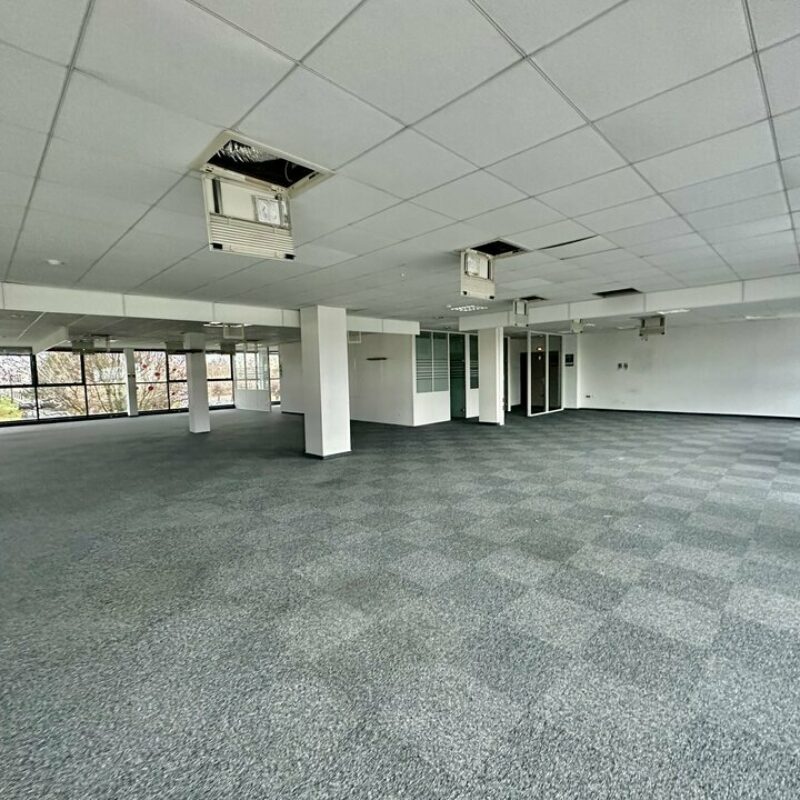 Location - 435 m² - SCHILTIGHEIM - 2