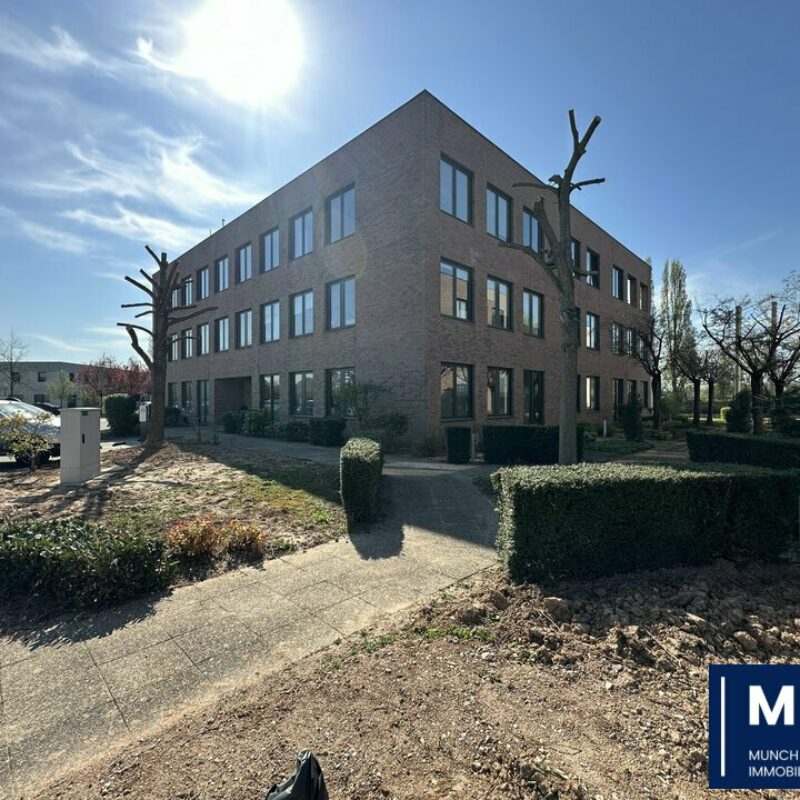 Location - 182.27 m² - ENTZHEIM - 1