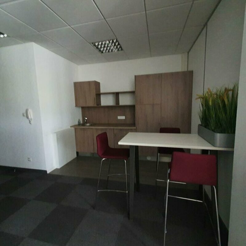 Location - 182.27 m² - ENTZHEIM - 2