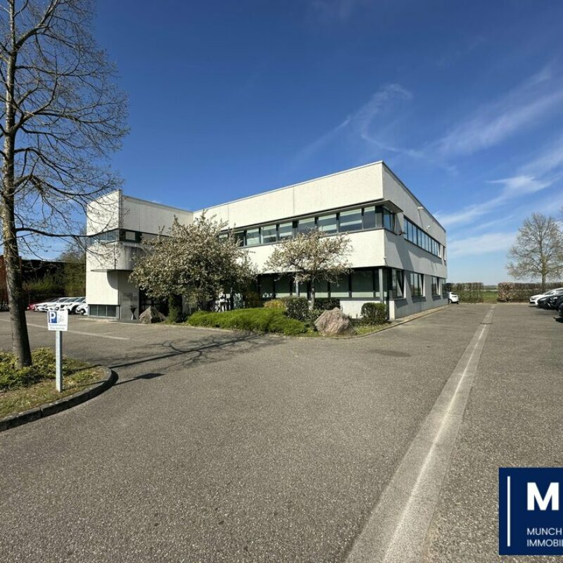 Location - 279 m² - ENTZHEIM - 1