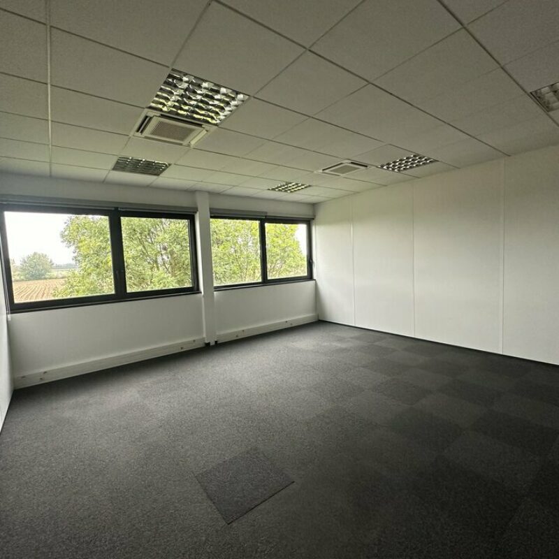 Location - 279 m² - ENTZHEIM - 4