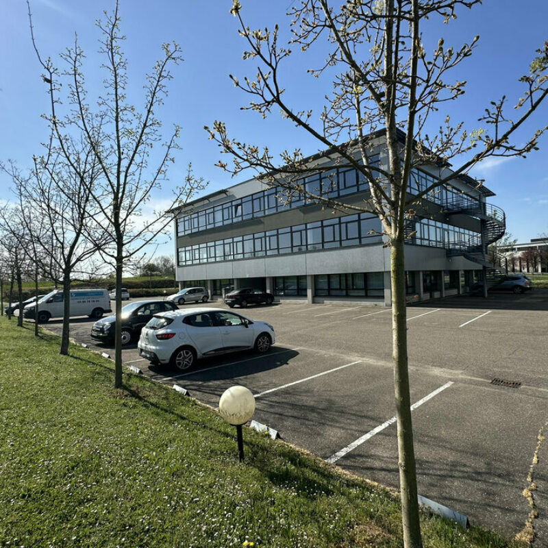 Location - 552.16 m² - ENTZHEIM - 4