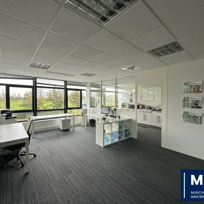 Location - 552.16 m² - ENTZHEIM - 1