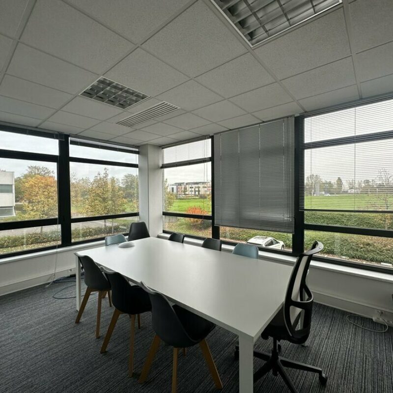 Location - 552.16 m² - ENTZHEIM - 3