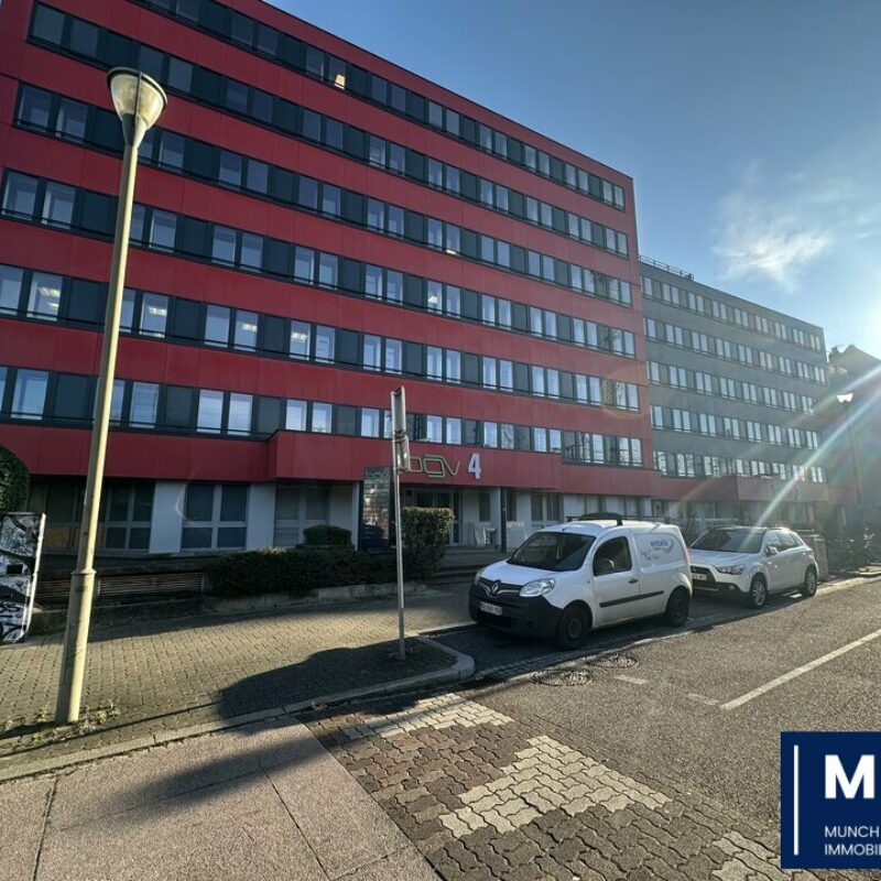 Location - 363.26 m² - STRASBOURG - 1