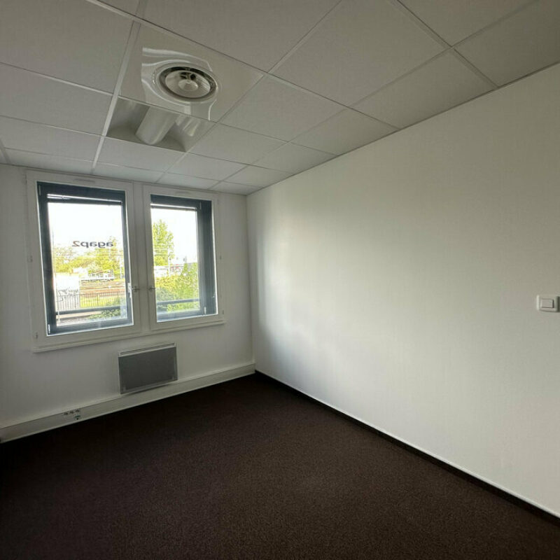 Location - 363.26 m² - STRASBOURG - 3