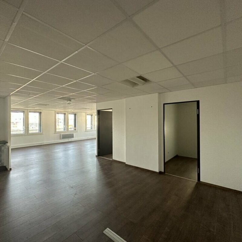 Location - 363.26 m² - STRASBOURG - 5