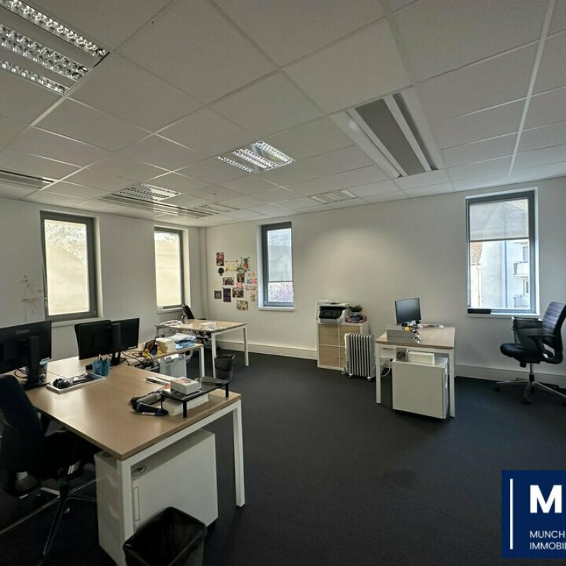 Location - 317 m² - STRASBOURG - 1