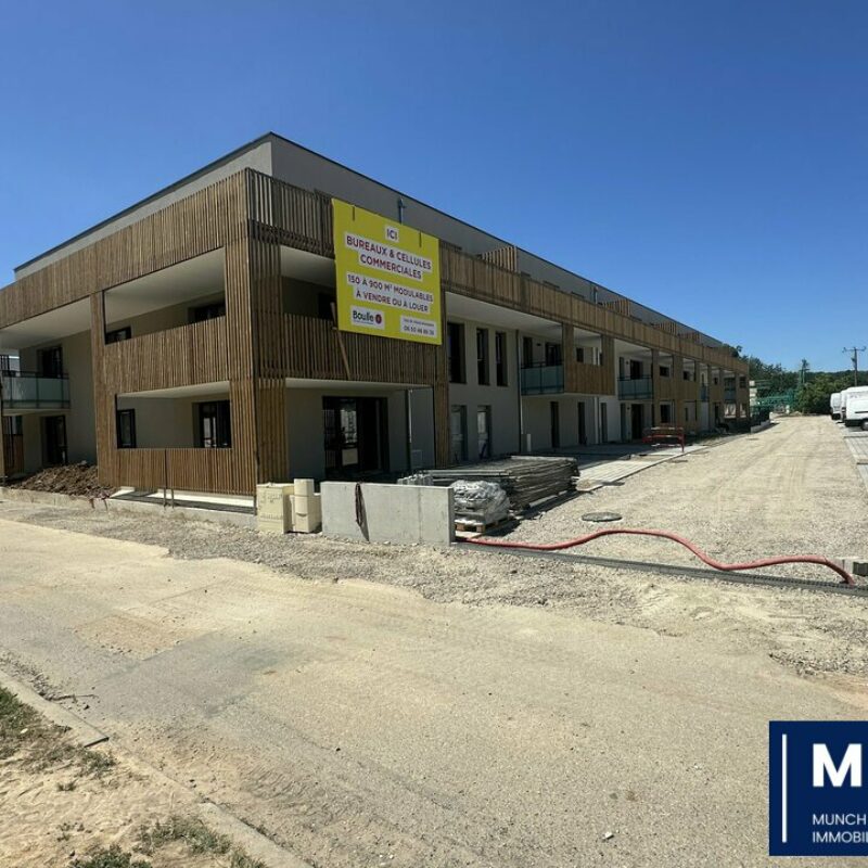 Vente - 918.9 m² - ROSHEIM - 1