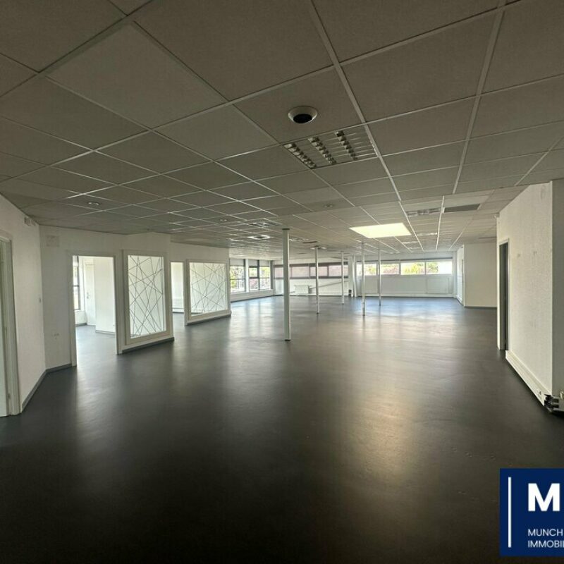 Location - 444 m² - STRASBOURG - 3