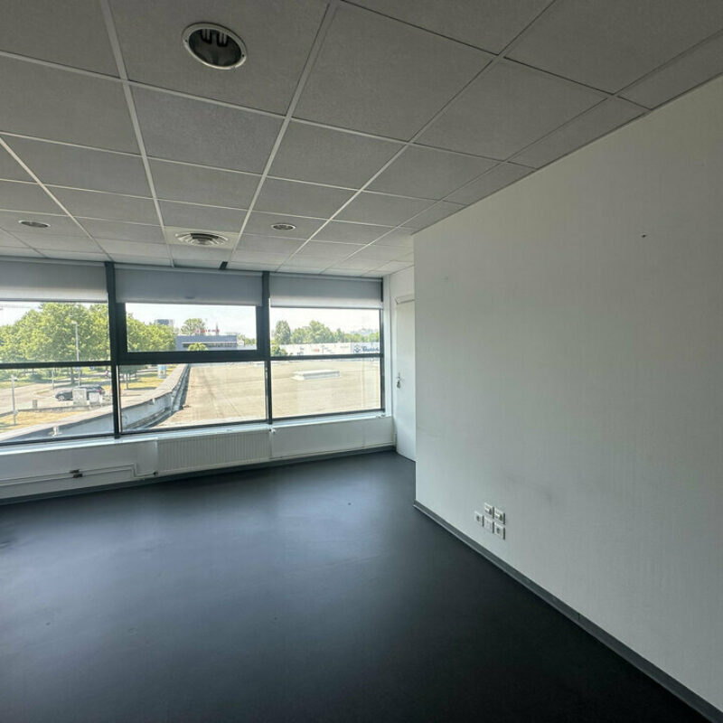 Location - 444 m² - STRASBOURG - 2