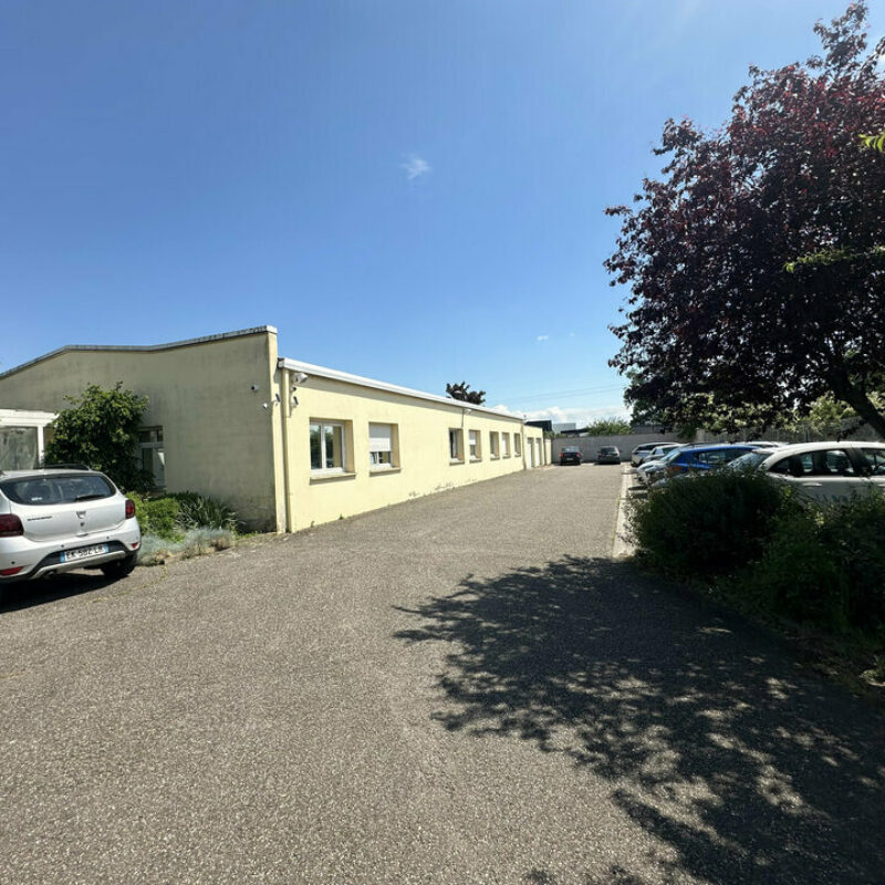 Vente - 568 m² - MOLSHEIM - 1