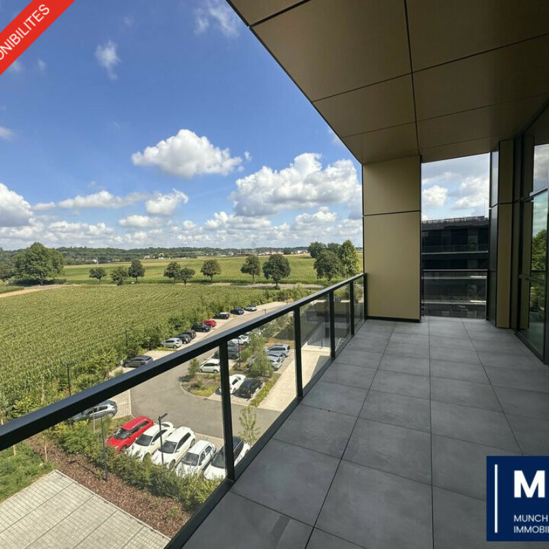 Location - 390 m² - SCHILTIGHEIM - 1