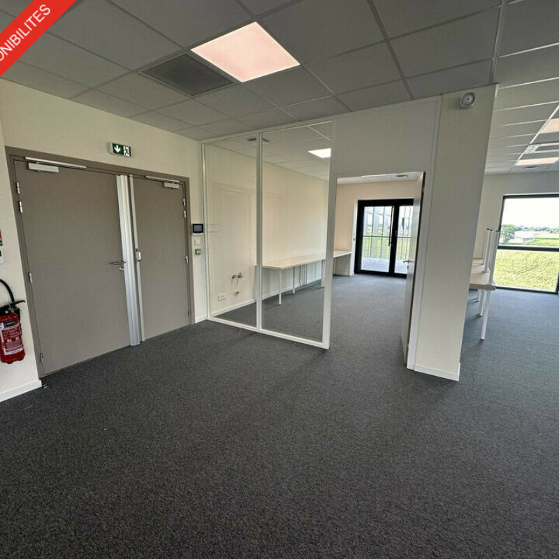 Location - 390 m² - SCHILTIGHEIM - 2