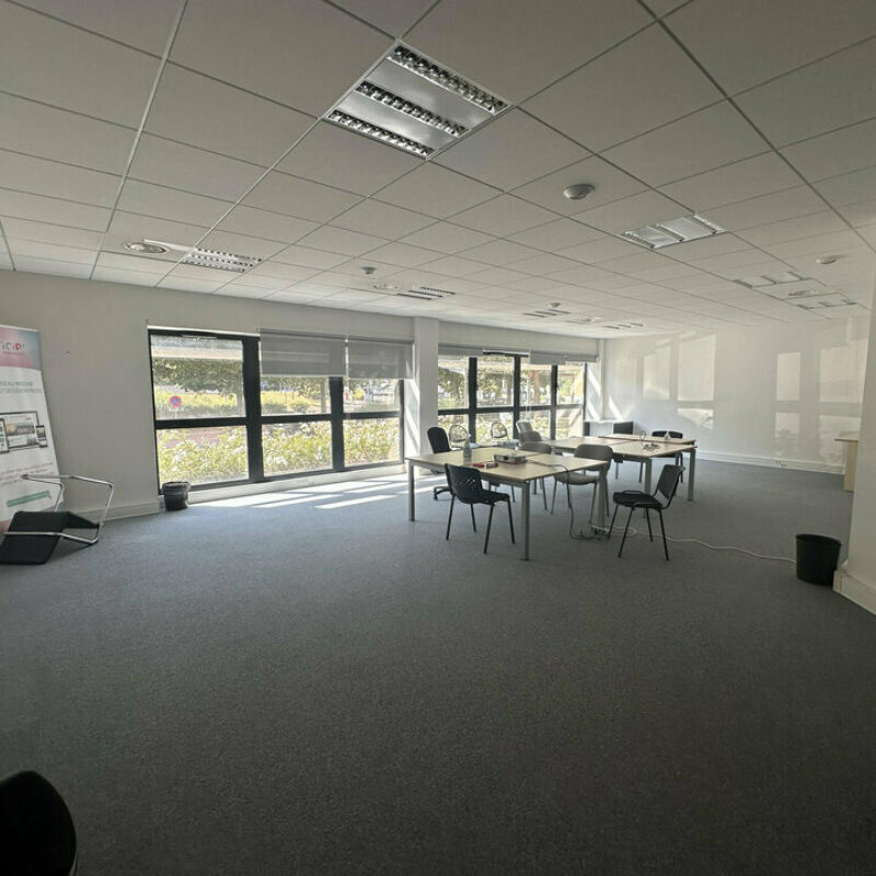 Vente - 426 m² - SCHILTIGHEIM - 4