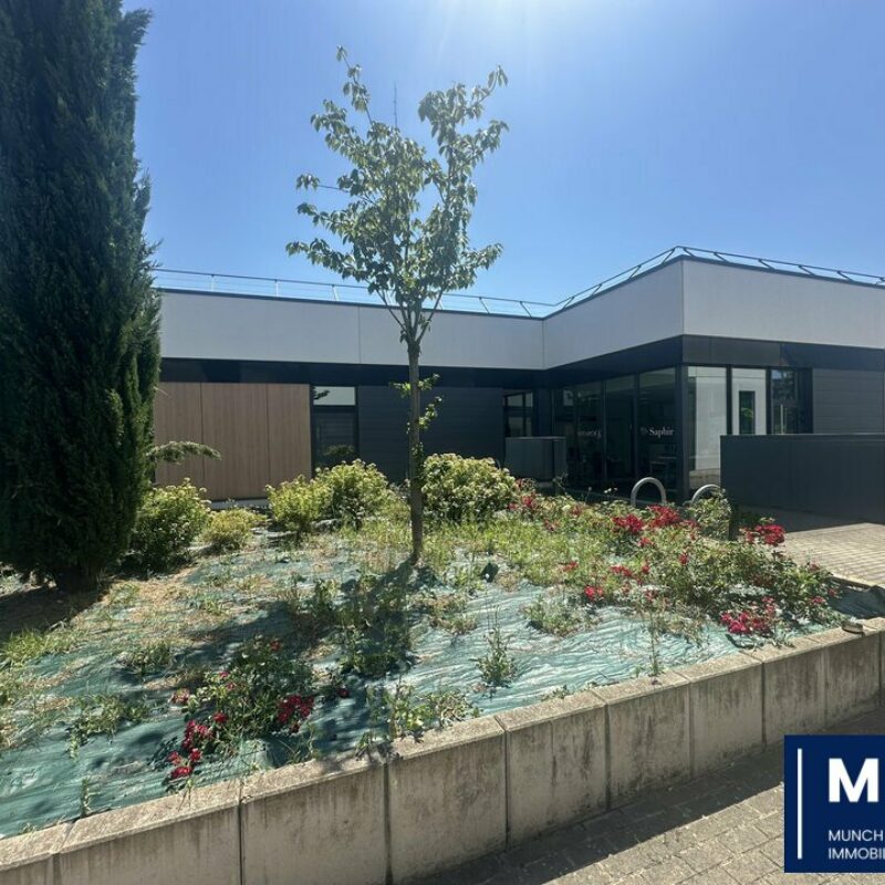 Location - 150.6 m² - STRASBOURG - 1