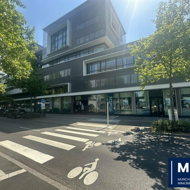 Location - 330 m² - STRASBOURG - 1