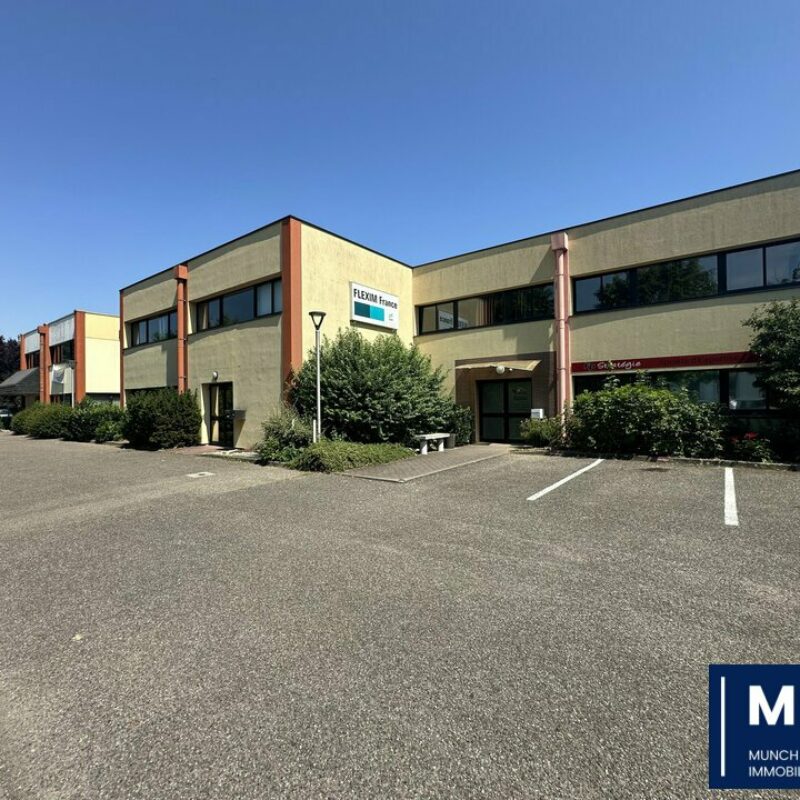 Vente - 390 m² - ECKBOLSHEIM - 1