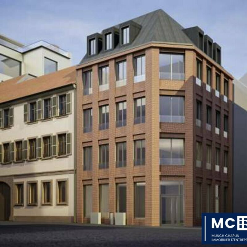 Location - 294 m² - STRASBOURG - 1