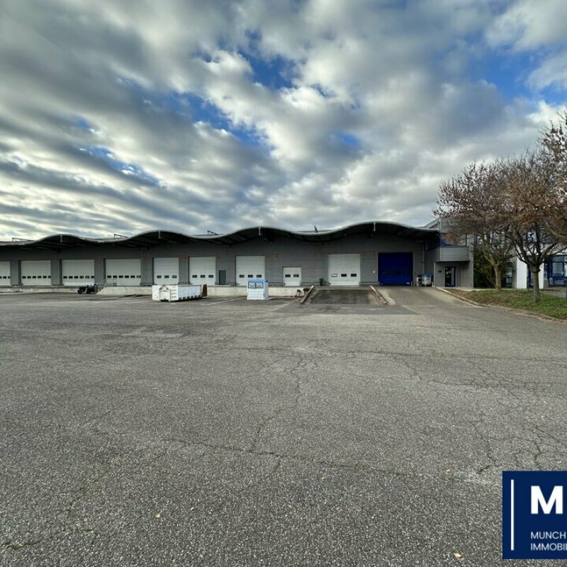 Vente - 3000 m² - SOUFFELWEYERSHEIM - 1