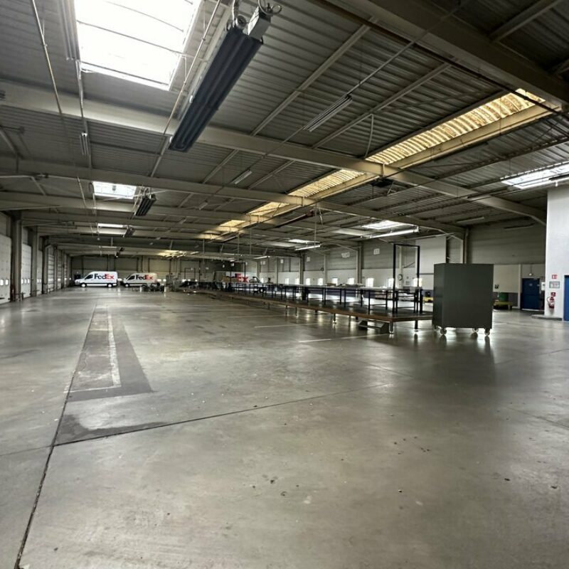 Vente - 3000 m² - SOUFFELWEYERSHEIM - 4