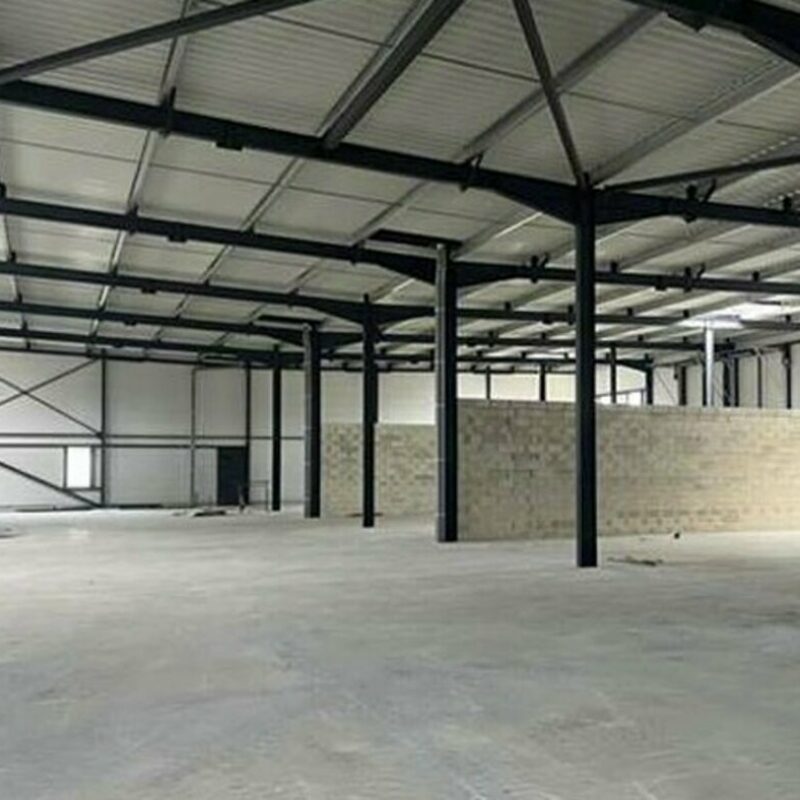 Location - 2160 m² - WITTELSHEIM - 3