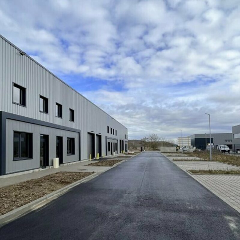 Location - 2160 m² - WITTELSHEIM - 2